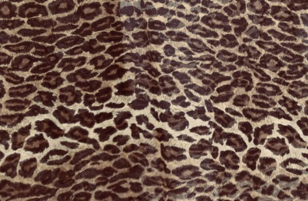 DSC_0018 LEOPARD SILKE CHIFFON. B115