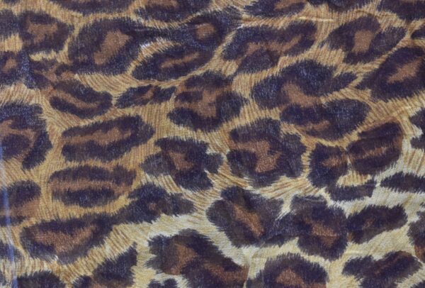 DSC_0019 LEOPARD SILKE CHIFFON. B115