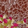 SMUK BLOMSTRET SATIN   B115