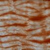 ORANGE BATIK SILKE.   B13