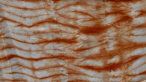 DSC_0443 ORANGE BATIK SILKE. B13